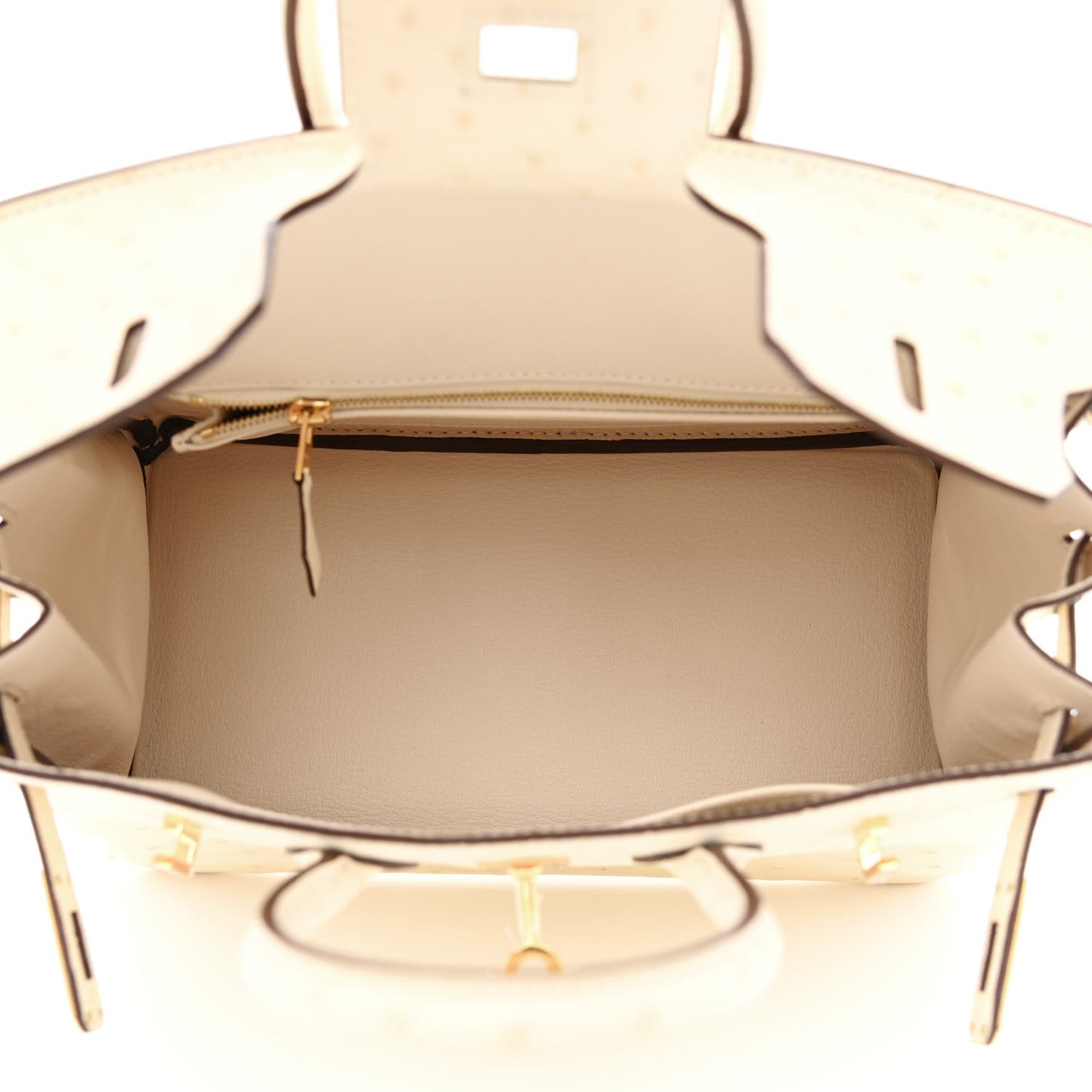 Ostrich Birkin 25 Nata