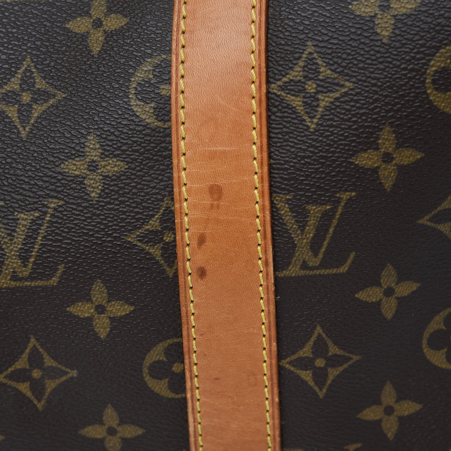 Monogram Sac Chien 50 Pet Carrier