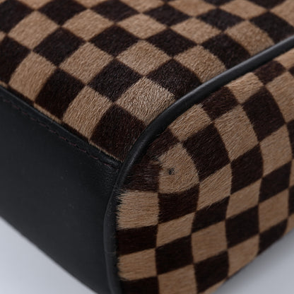Louis Vuitton Damier Calf Hair Sauvage Lionne 16 of 18