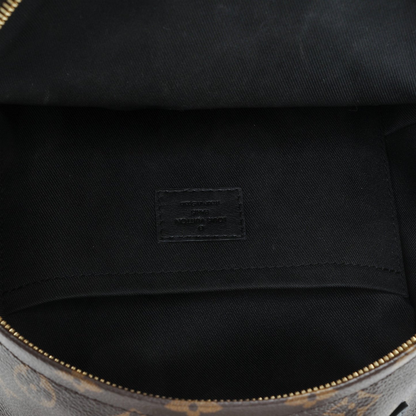 Monogram Palm Springs Backpack PM
