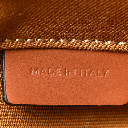 Celine Triomphe Canvas Triangle Crossbody Bag Tan 6 of 14