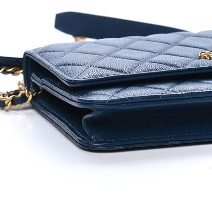 Chanel Goatskin Quilted Chanel 19 Wallet On Chain WOC Blue 9 of 10