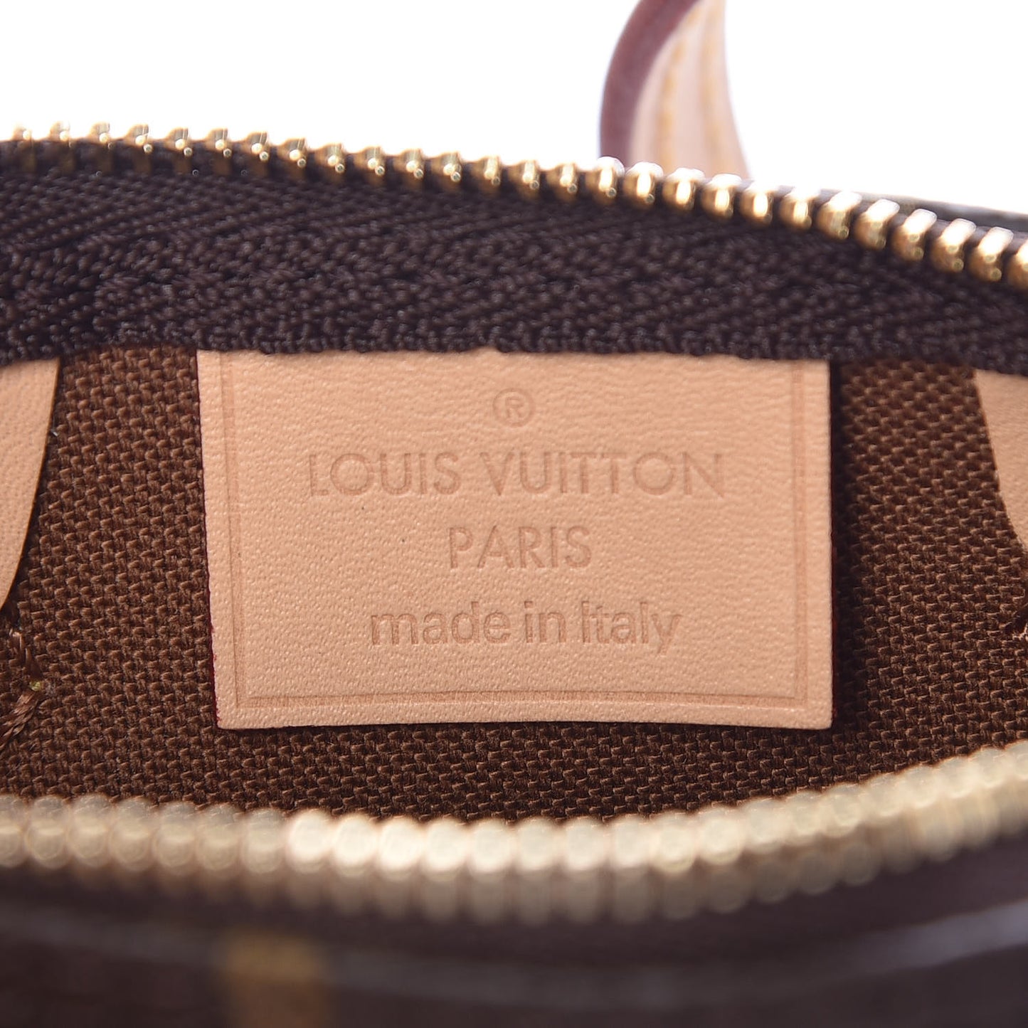 Monogram Nano Speedy