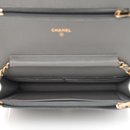 Chanel Caviar Quilted Wallet On Chain WOC Grey 5 of 12