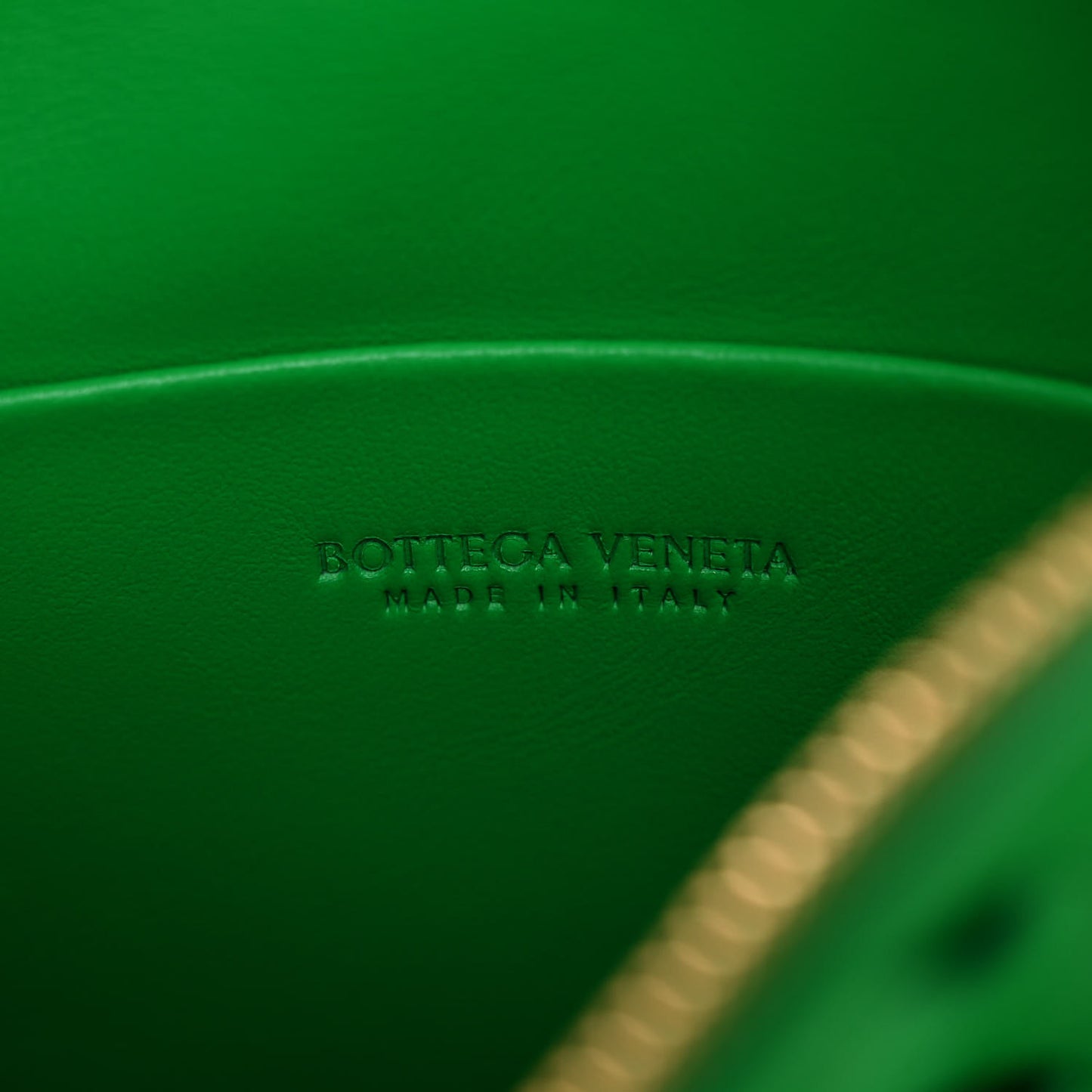 Nappa Intrecciato Mini Loop Camera Bag Parakeet