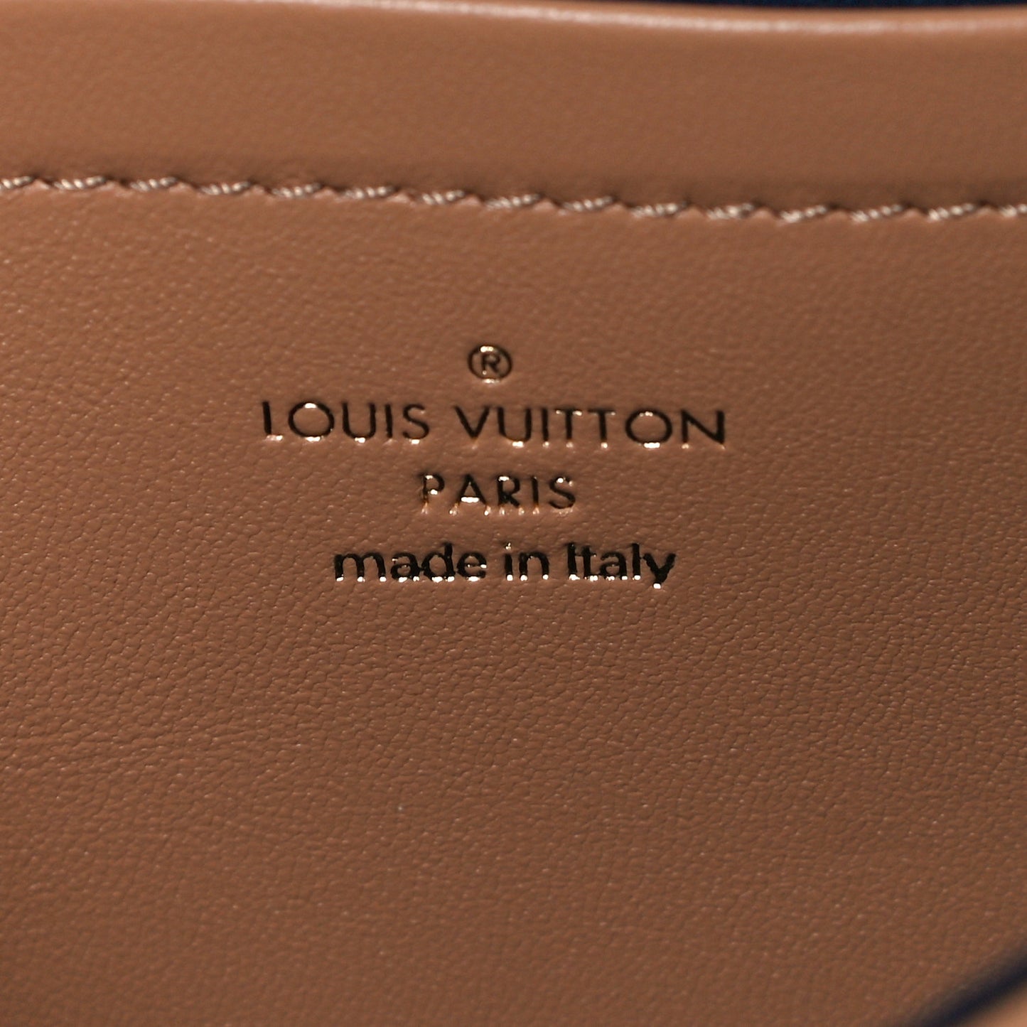 Lambskin Embossed Monogram Pochette Coussin Camel