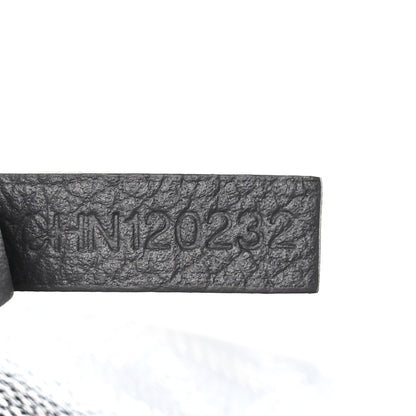 Goyard Goyardine Saint Louis PM Grey 9 of 11