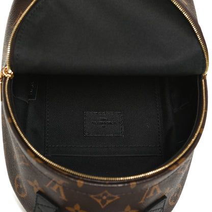 Louis Vuitton Monogram Palm Springs Backpack Mini 5 of 12