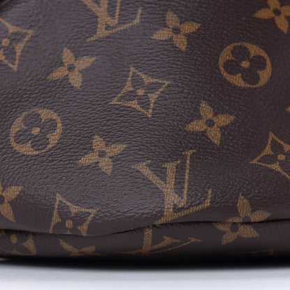 Louis Vuitton Monogram Bumbag 7 of 8