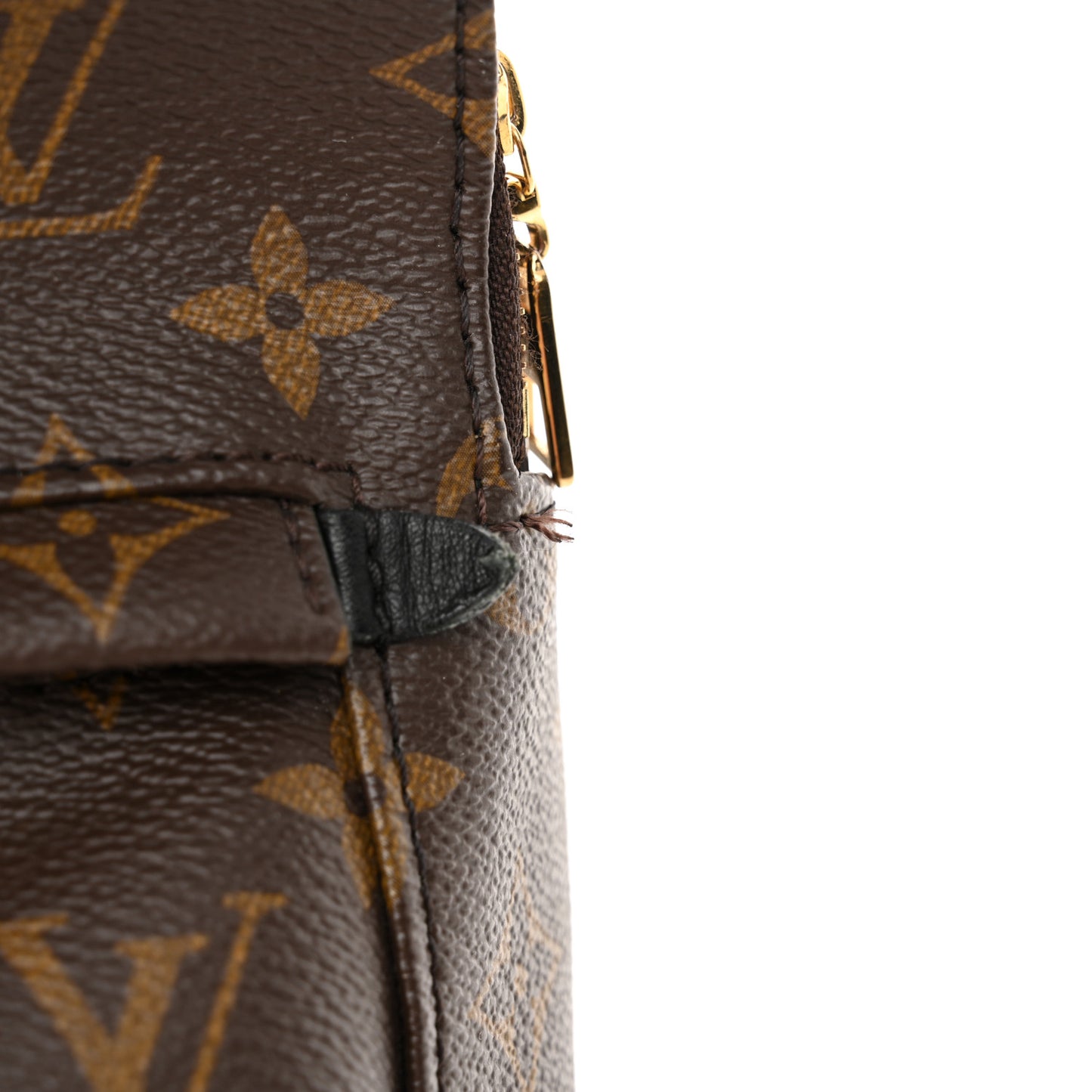 Monogram Palm Springs Backpack Mini