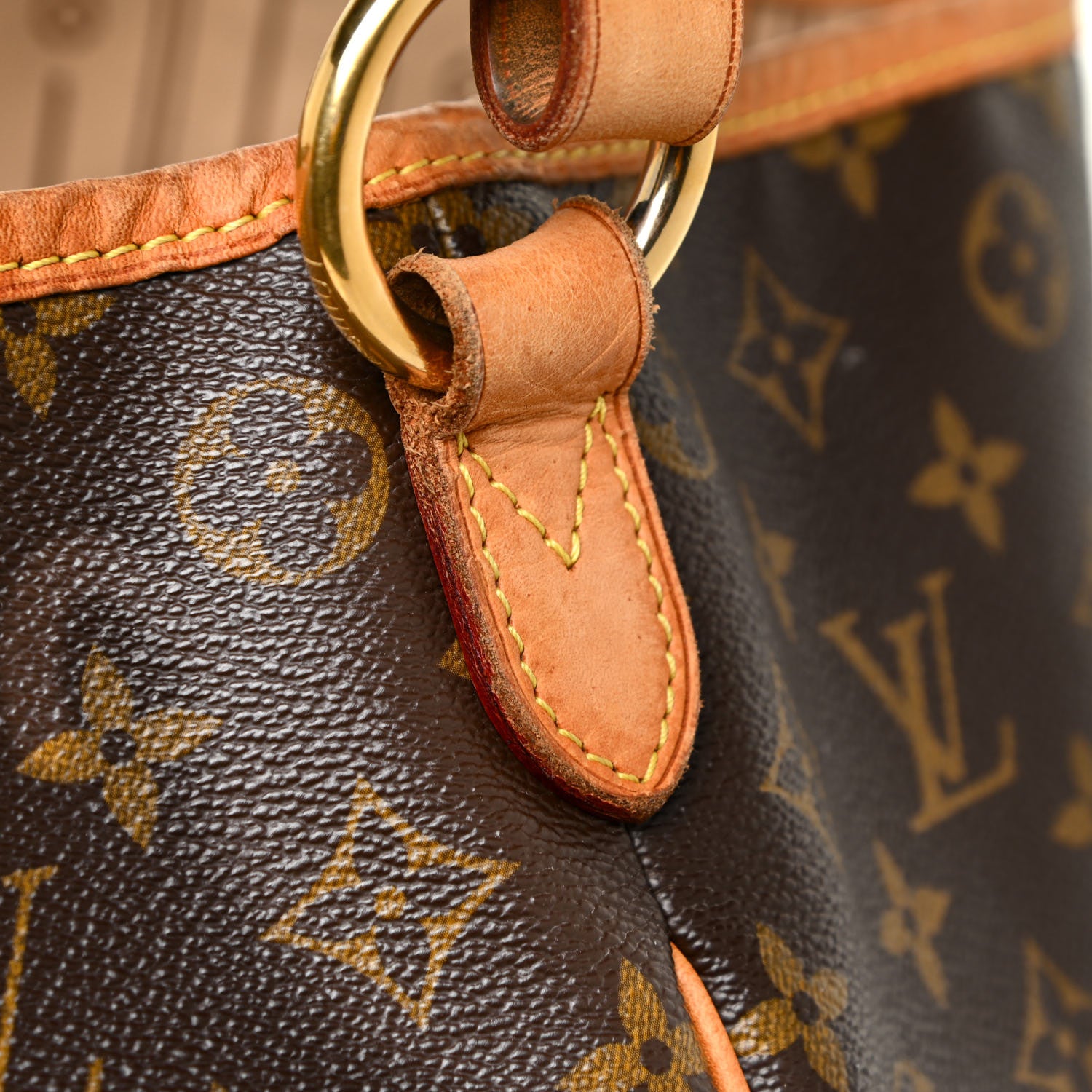Louis Vuitton Monogram Delightful PM 12 of 21