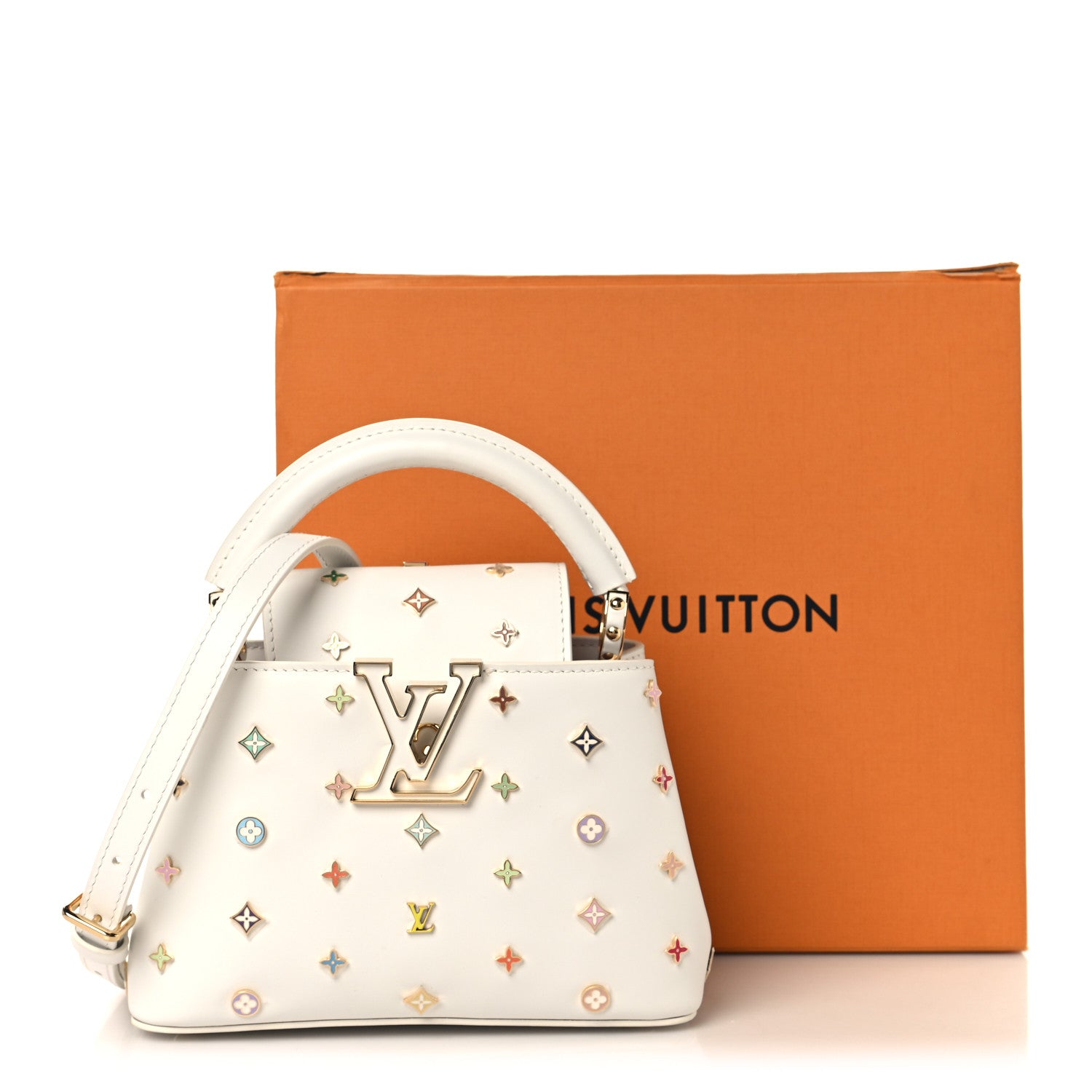 Louis Vuitton LV X TM Cowhide Mini Capucines Multicolor 10 of 10