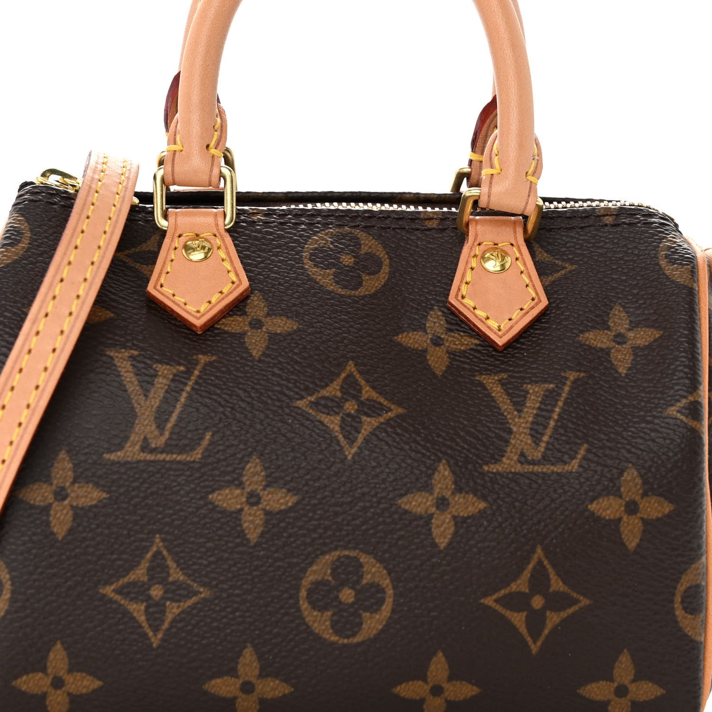 Monogram Nano Speedy