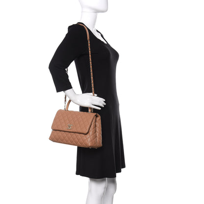 Chanel Caviar Quilted Lizard Embossed Small Coco Handle Flap Brown 2 of 10
