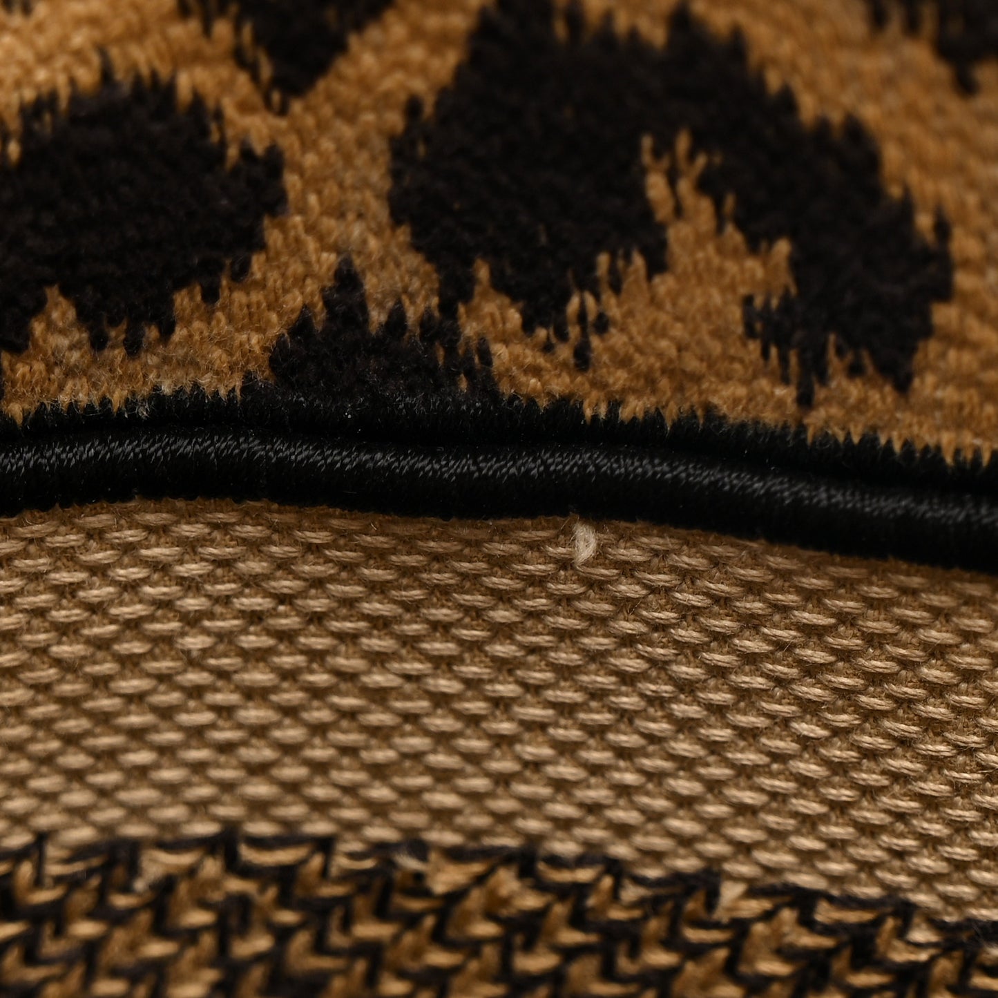 Canvas Medium Mizza Embroidered Lady D-Lite Beige Multicolor