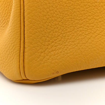 Hermes Togo BIRKIN 35 Curry 8 of 12