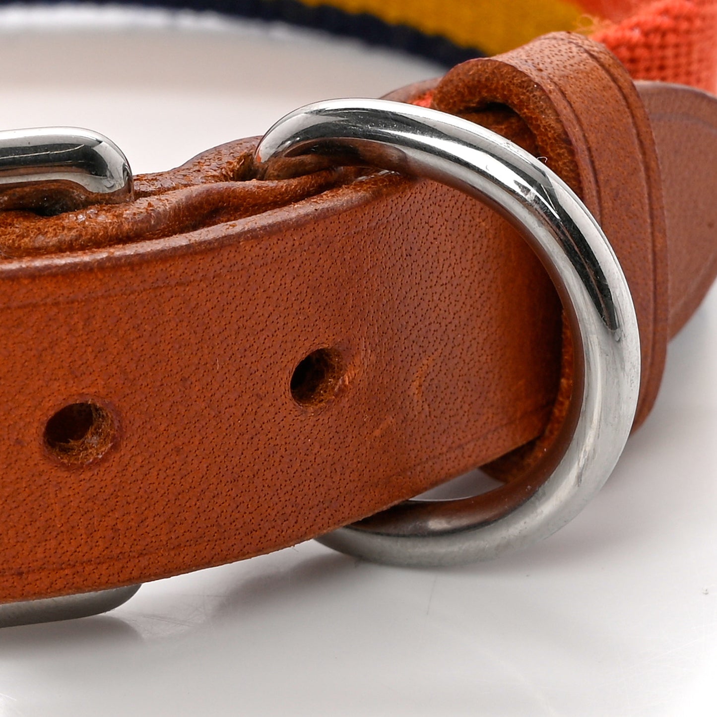 Toile Natural Bridle Robocar II Dog Collar M Dark Irish