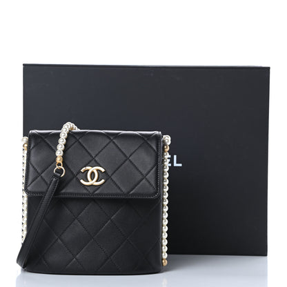 Chanel Calfskin Quilted Pearl Small About Pearls Hobo Bag Black 12 of 13