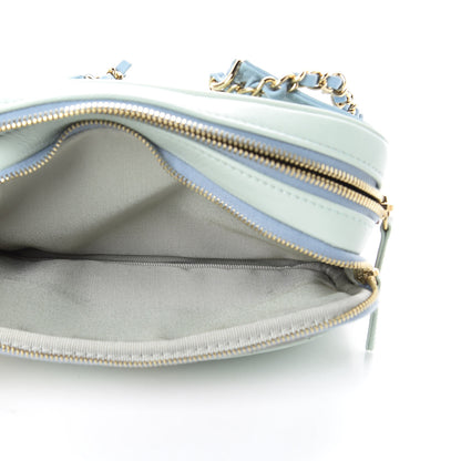 Chanel Goatskin Quilted Waist Bag Green Blue Pink 6 of 12