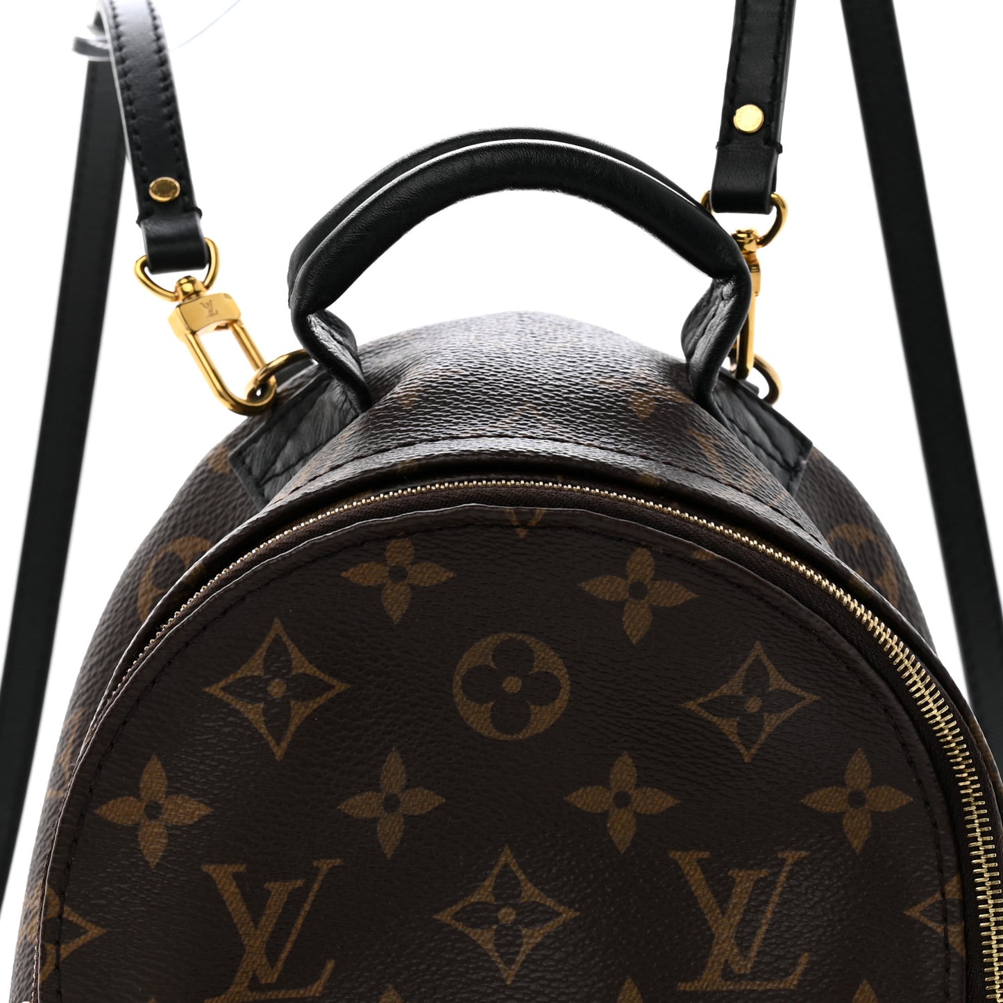 Monogram Palm Springs Backpack Mini