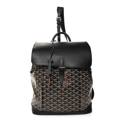 Goyard Goyardine Calfskin Alpin MM Backpack Black 1 of 11