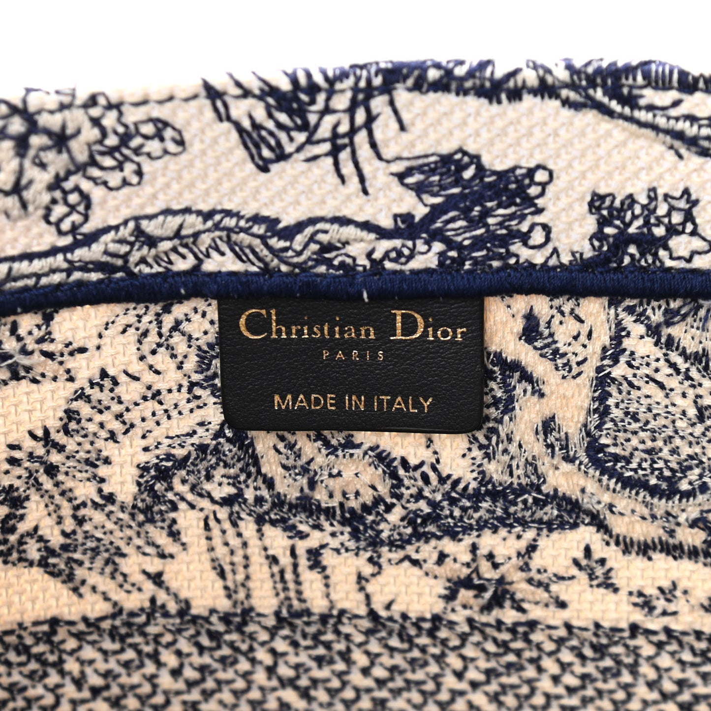 Canvas Embroidered Medium Dioriviera Toile De Jouy Book Tote Blue