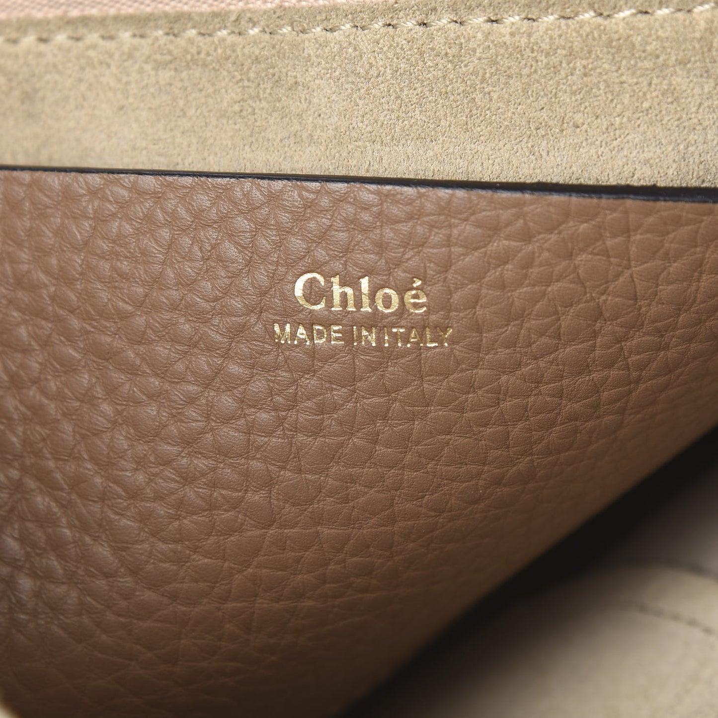 Grained Calfskin Small Hayley Hobo Nut
