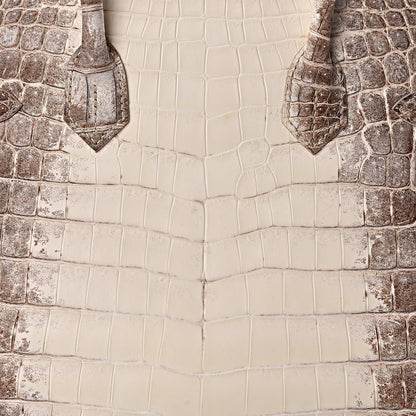 Hermes Matte Niloticus Crocodile Himalaya Birkin 30 Blanc 45 of 56
