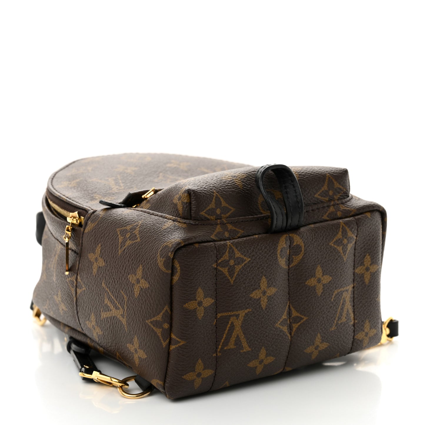 Monogram Palm Springs Backpack Mini