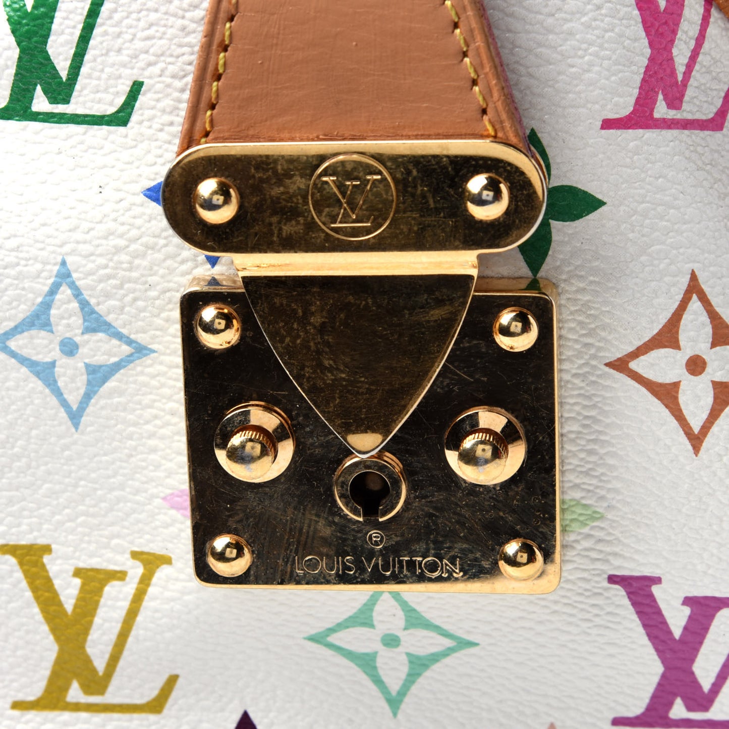Monogram Multicolor Speedy 30 White