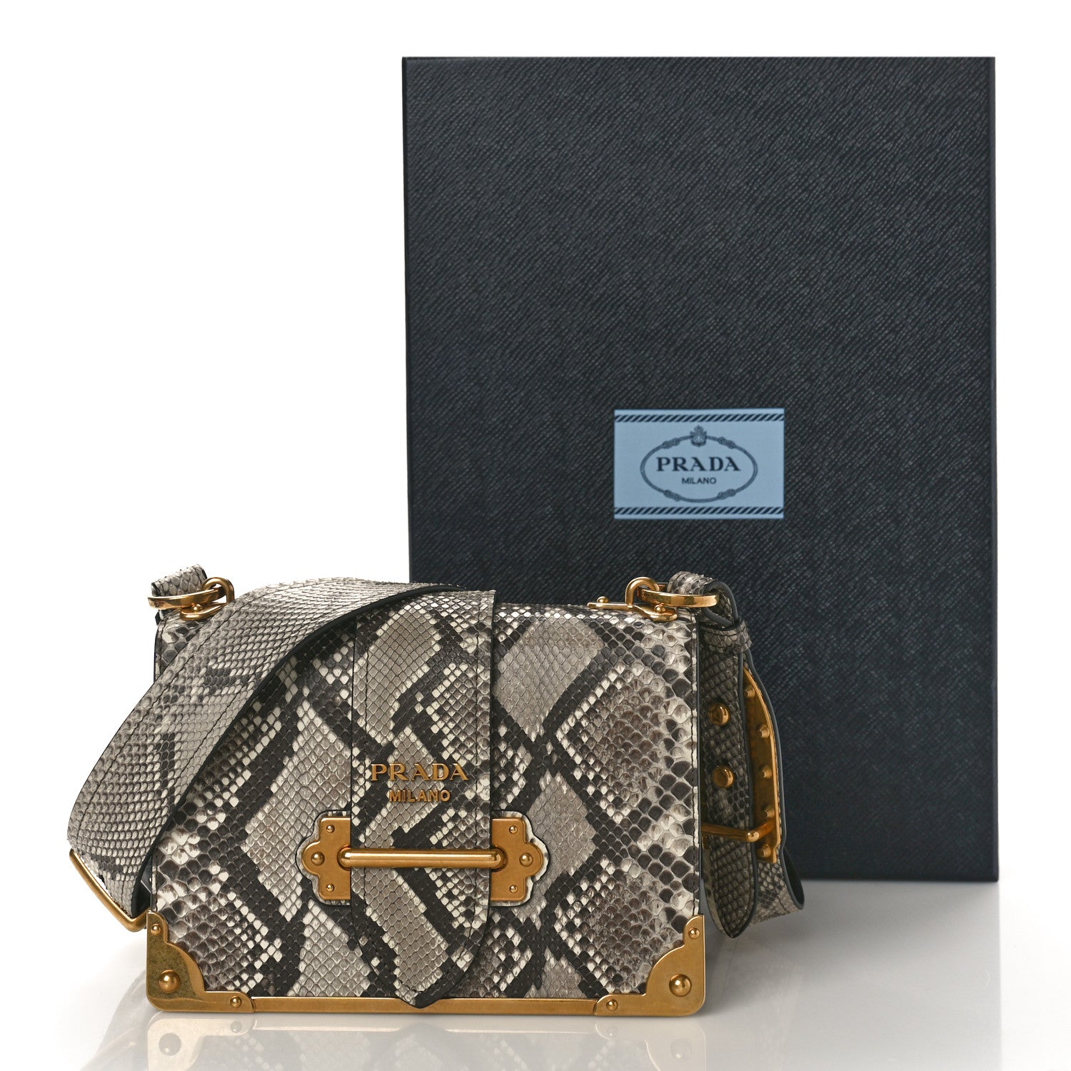 Prada Snakeskin Cahier Bag Roccia 10 of 10
