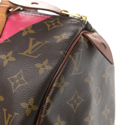 Louis Vuitton Monogram Speedy 30 V Grenade 13 of 17