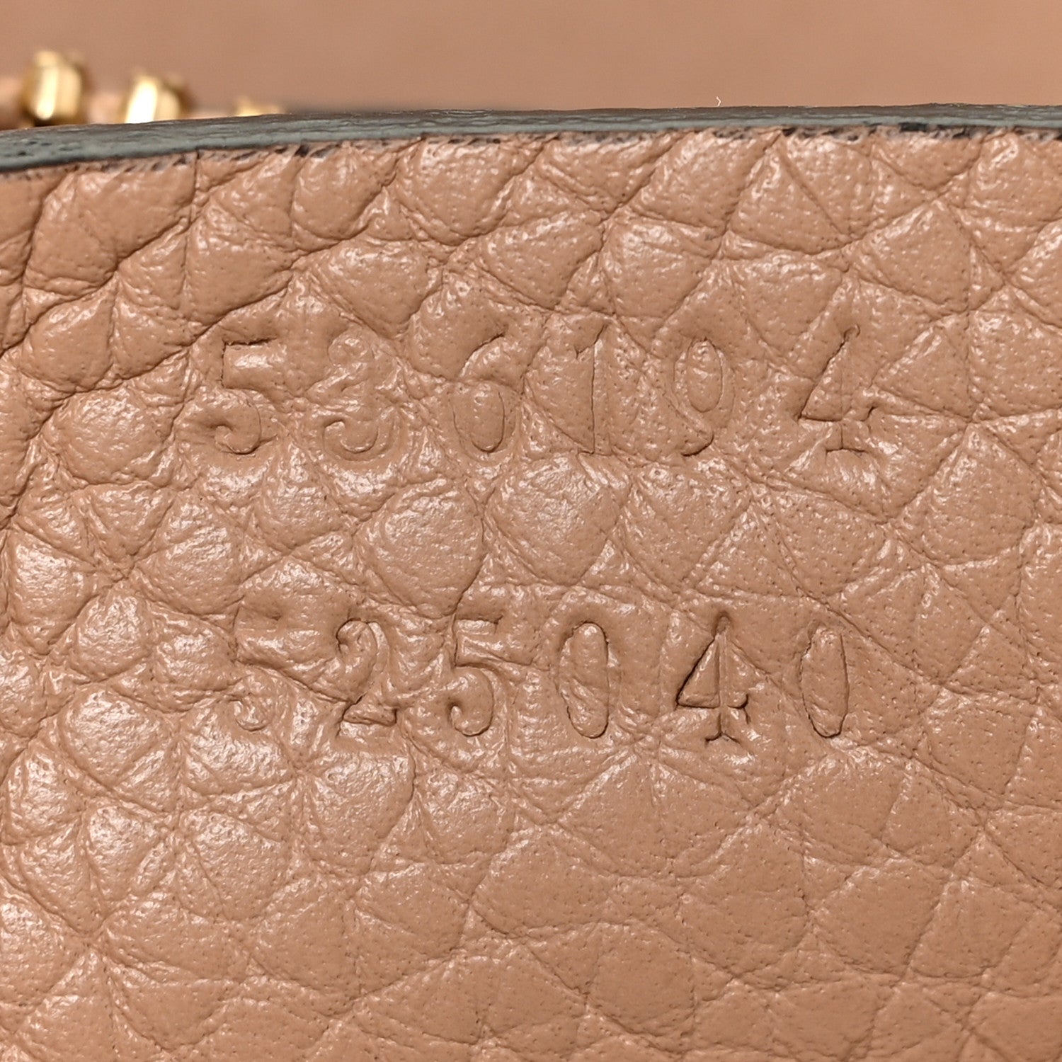 Gucci Pebbled Calfskin Large Soho Hobo Camelia 7 of 10