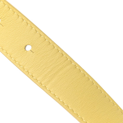 Bottega Veneta Nappa Maxi Intreccio The Belt Cassette Bag Butter 18 of 20