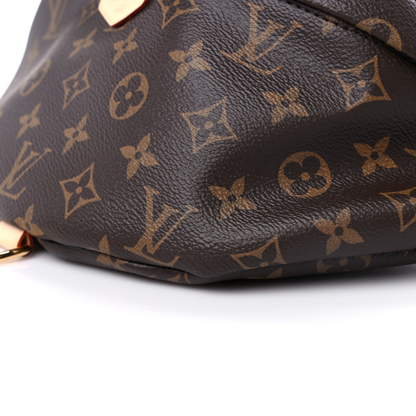 Monogram Bumbag