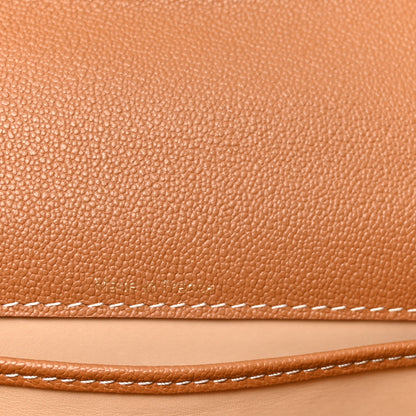 Delvaux Grained Rodeo Calfskin Surpique Mini Brillant Satchel Vegetal Ivory 7 of 11