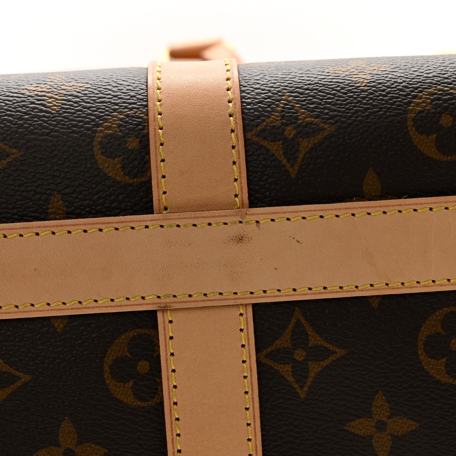 Louis Vuitton Monogram Dog Carrier 45 11 of 15
