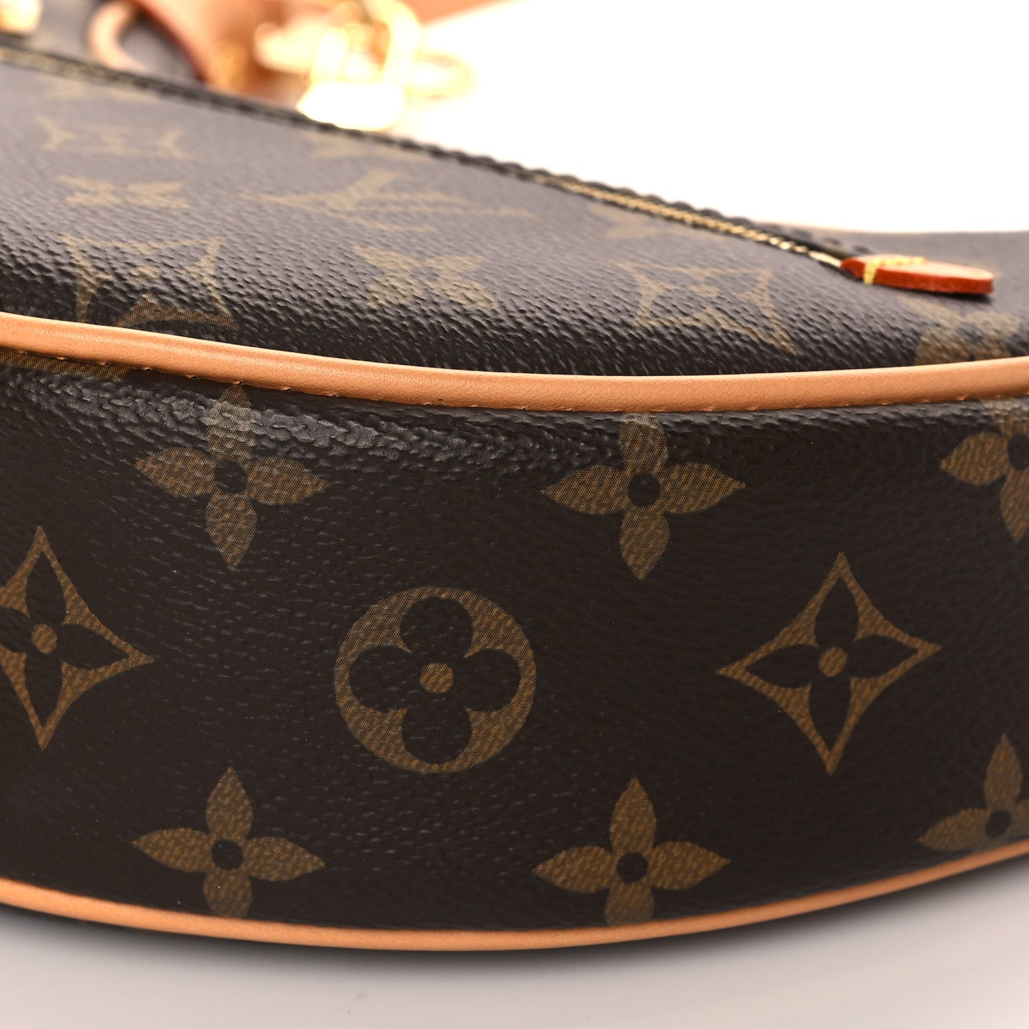 Louis Vuitton Monogram Loop 9 of 9