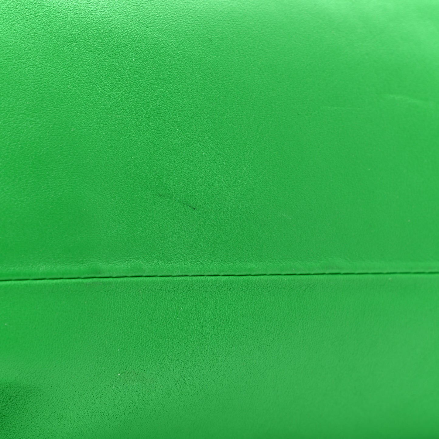 Smooth Butter Calf The Pouch Oversized Clutch Parakeet