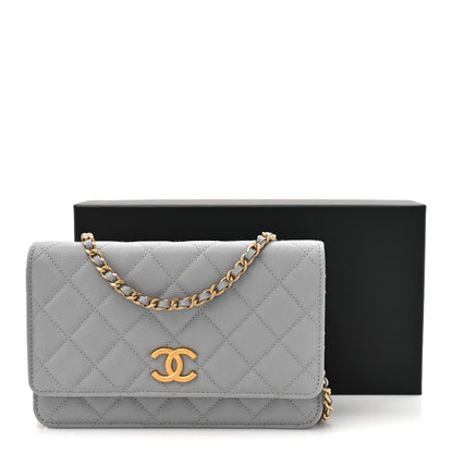 Chanel Caviar Quilted Textured CC Wallet On Chain WOC Grey 12 of 12