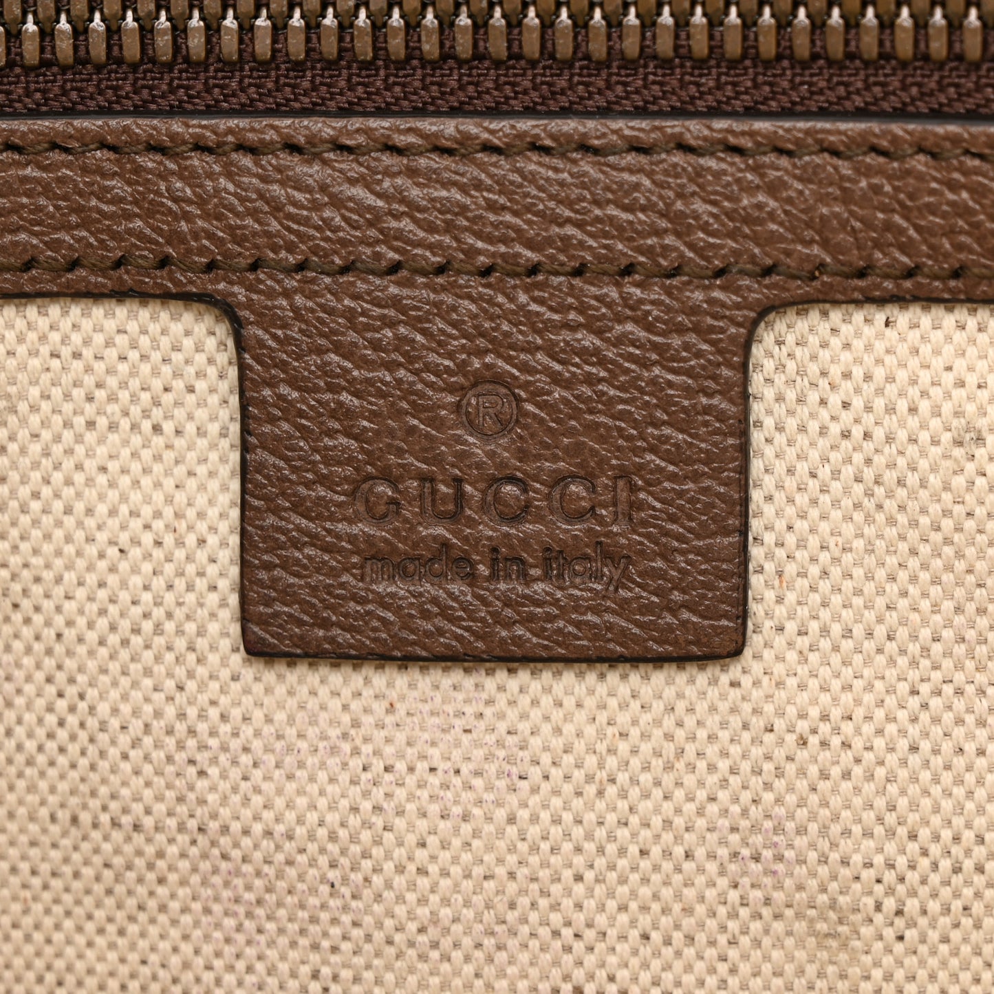GG Supreme Monogram Web Small Ophidia Half Moon Hobo Brown