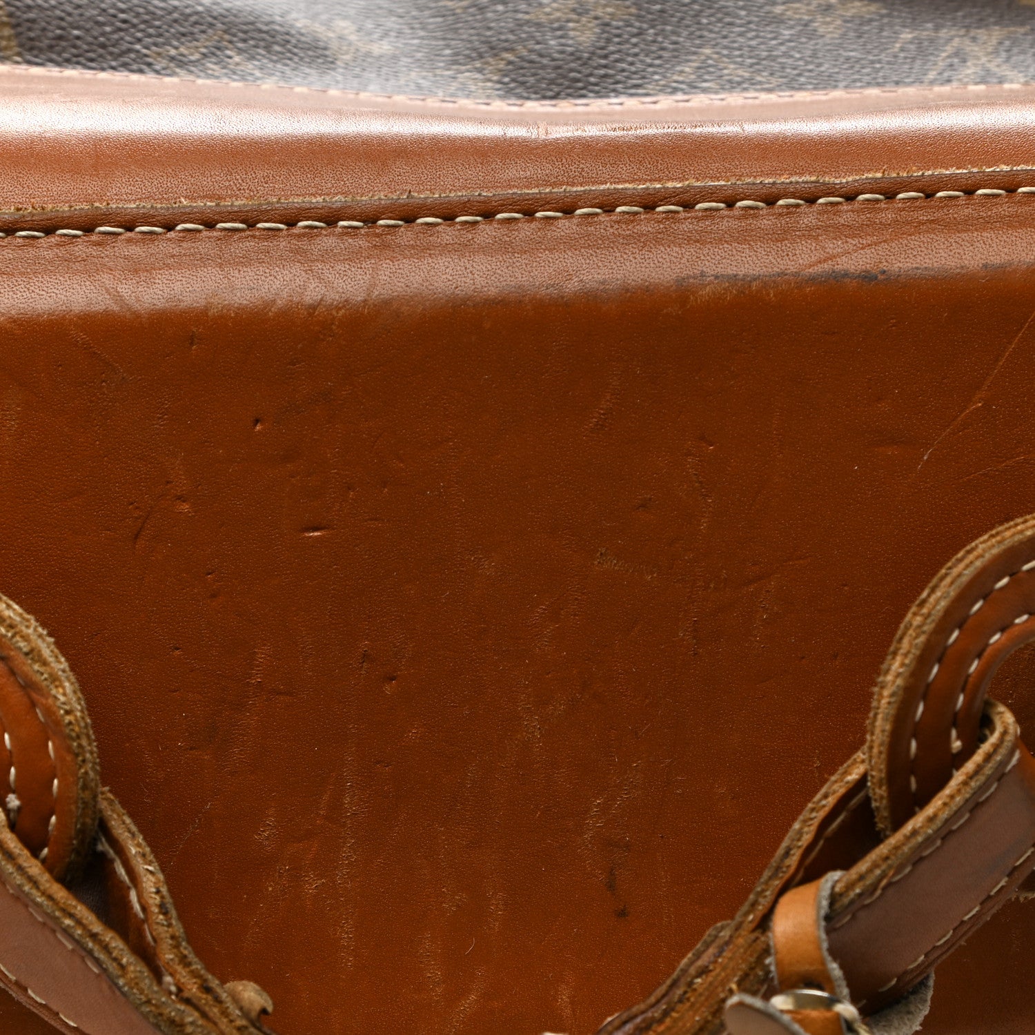 Louis Vuitton French Company Monogram Garment Bag 28 of 31