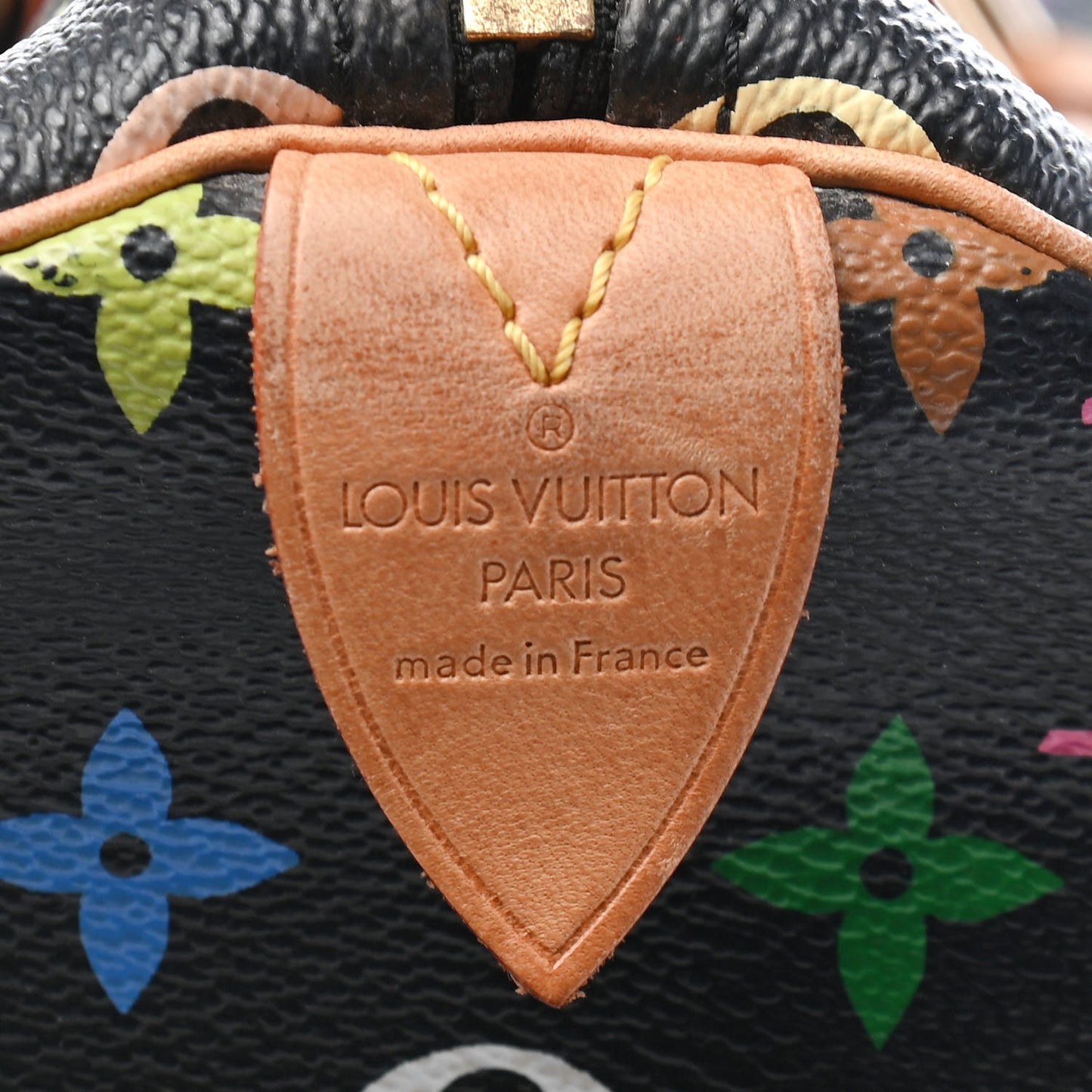 Monogram Multicolor Speedy 30 Black