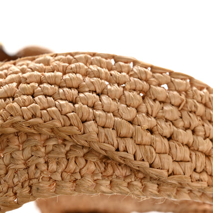 Loewe Raffia Mini Slit Tote Bag Natural Tan 11 of 11