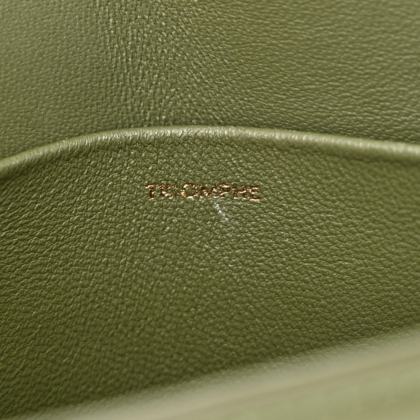 Shiny Calfskin Nano Triomphe Soft Khaki