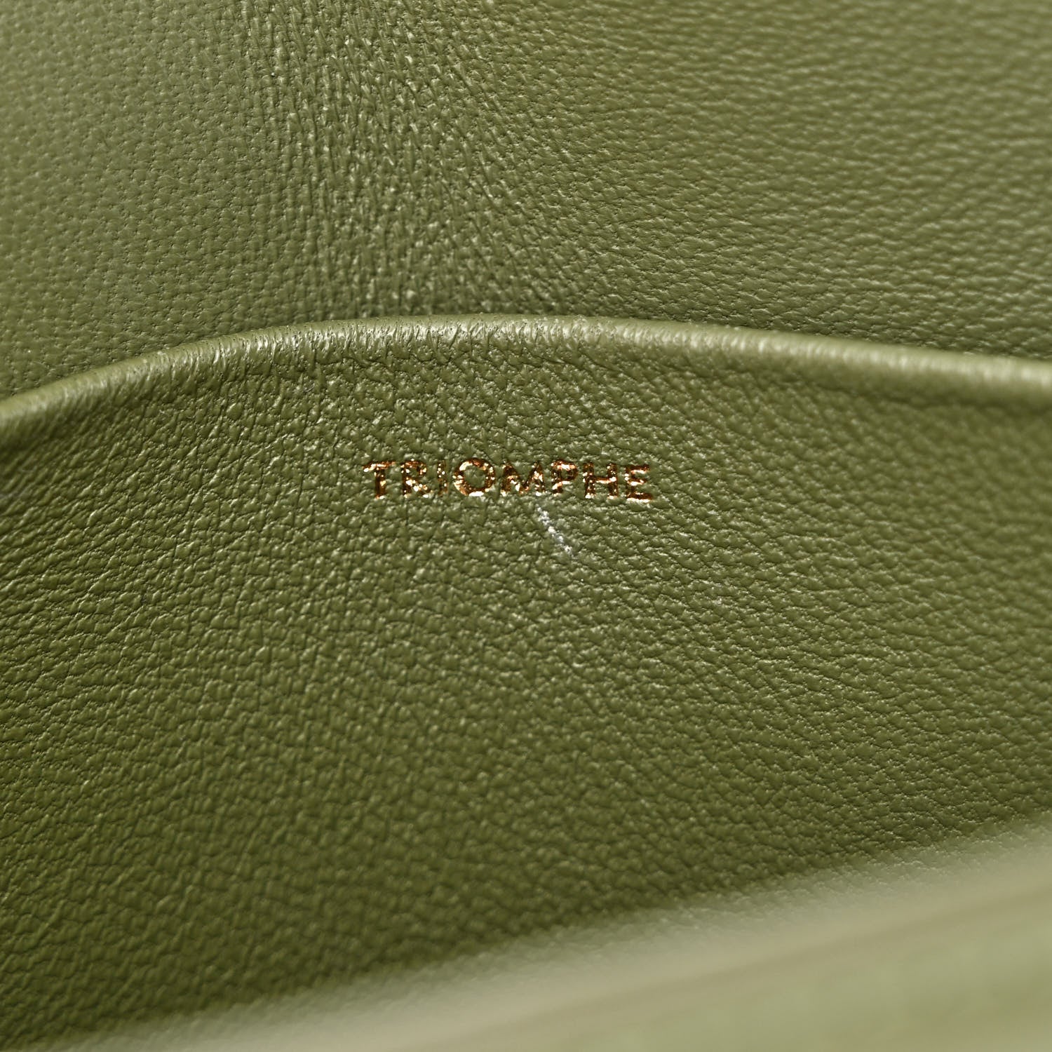 Celine Shiny Calfskin Nano Triomphe Soft Khaki 9 of 12