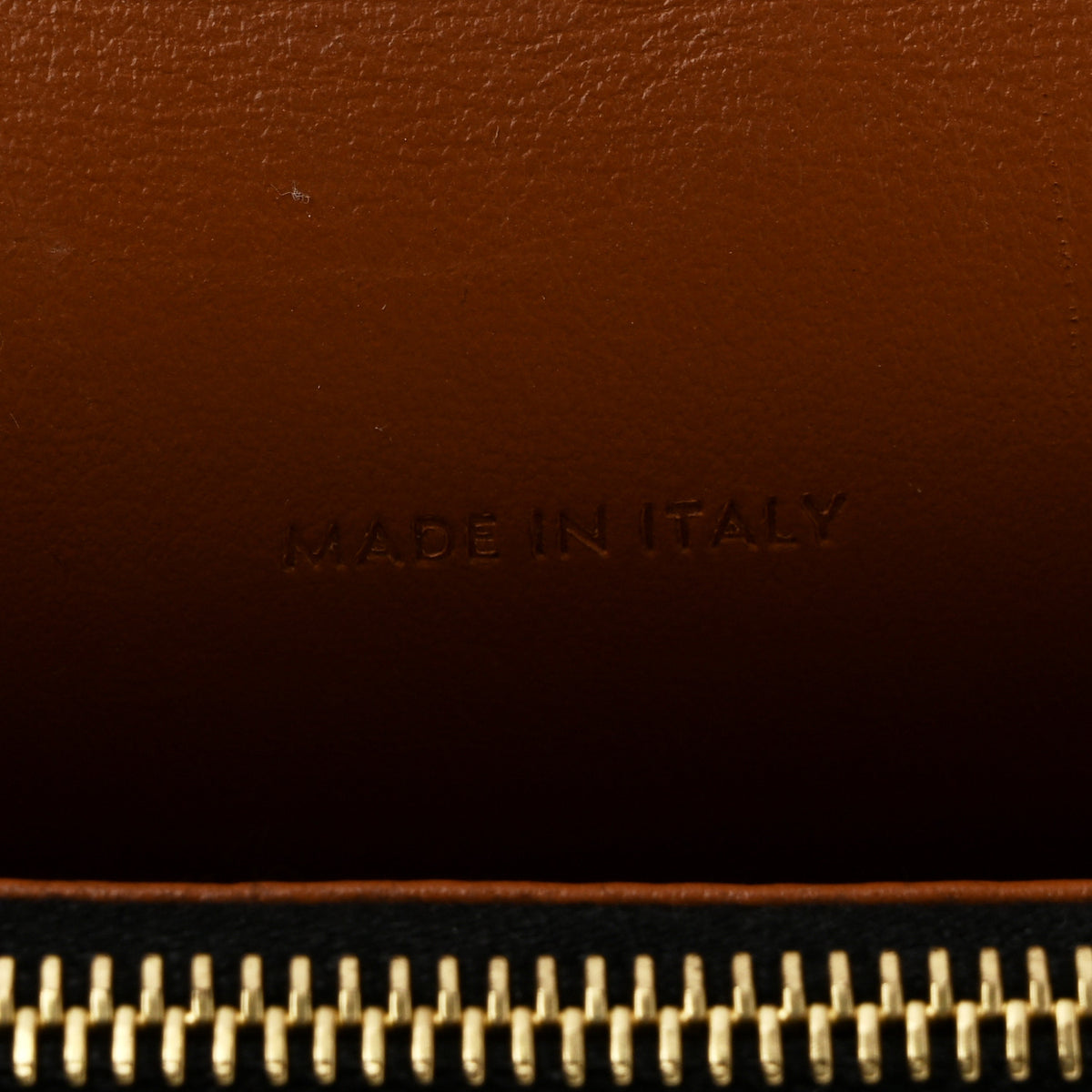 Celine Triomphe Canvas Lambskin Wallet On Strap Tan 8 of 12