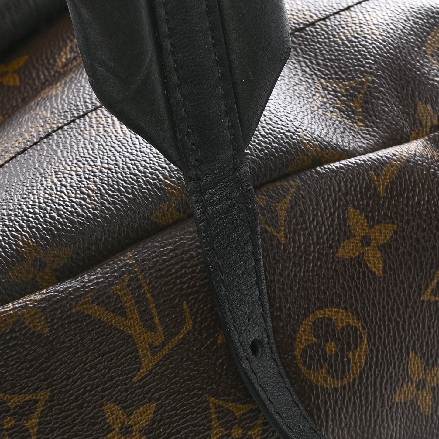Monogram Palm Springs Backpack PM