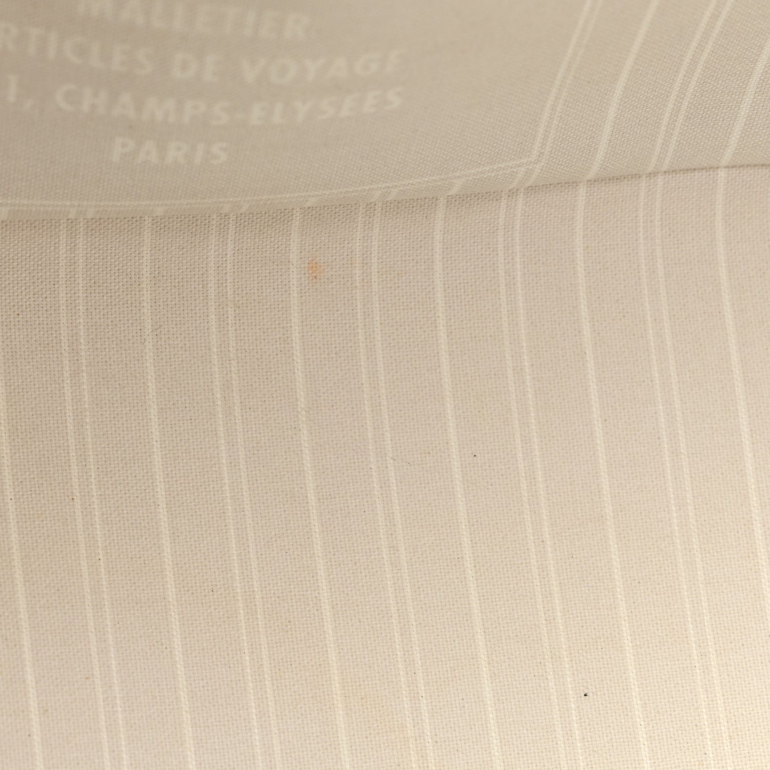 Louis Vuitton Monogram Giant By The Pool Neverfull MM Brume 11 of 15
