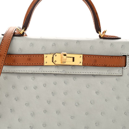 Hermes Ostrich Horseshoe Mini Kelly Sellier 20 Gris Perle Gold 7 of 10